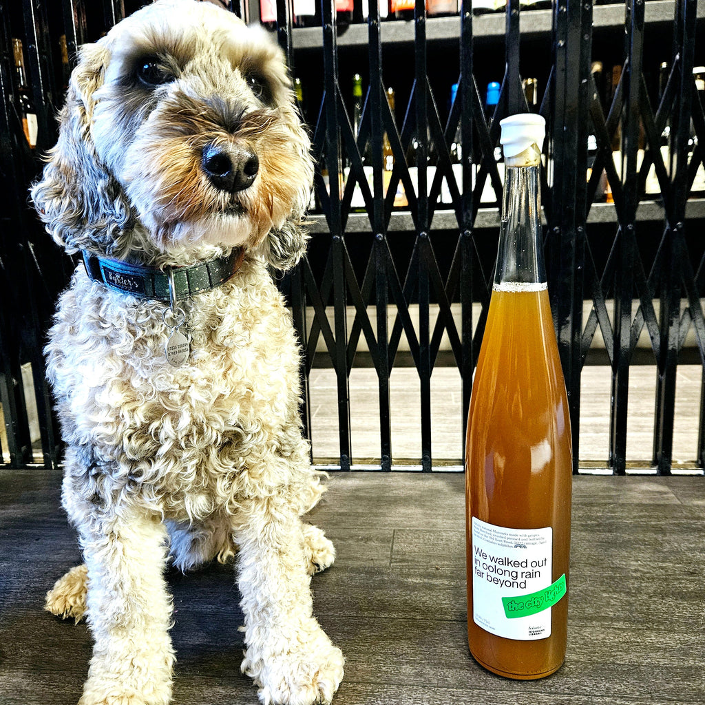 <p>Muscaris<br>We Walked Out in Oolong Rain 2022 magnum<br>Leisure Wine x Highbury Library</p>