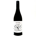 <p>Grüner Veltliner / Neuberger<br>Schlehe 2024<br>Arndorfer</p>