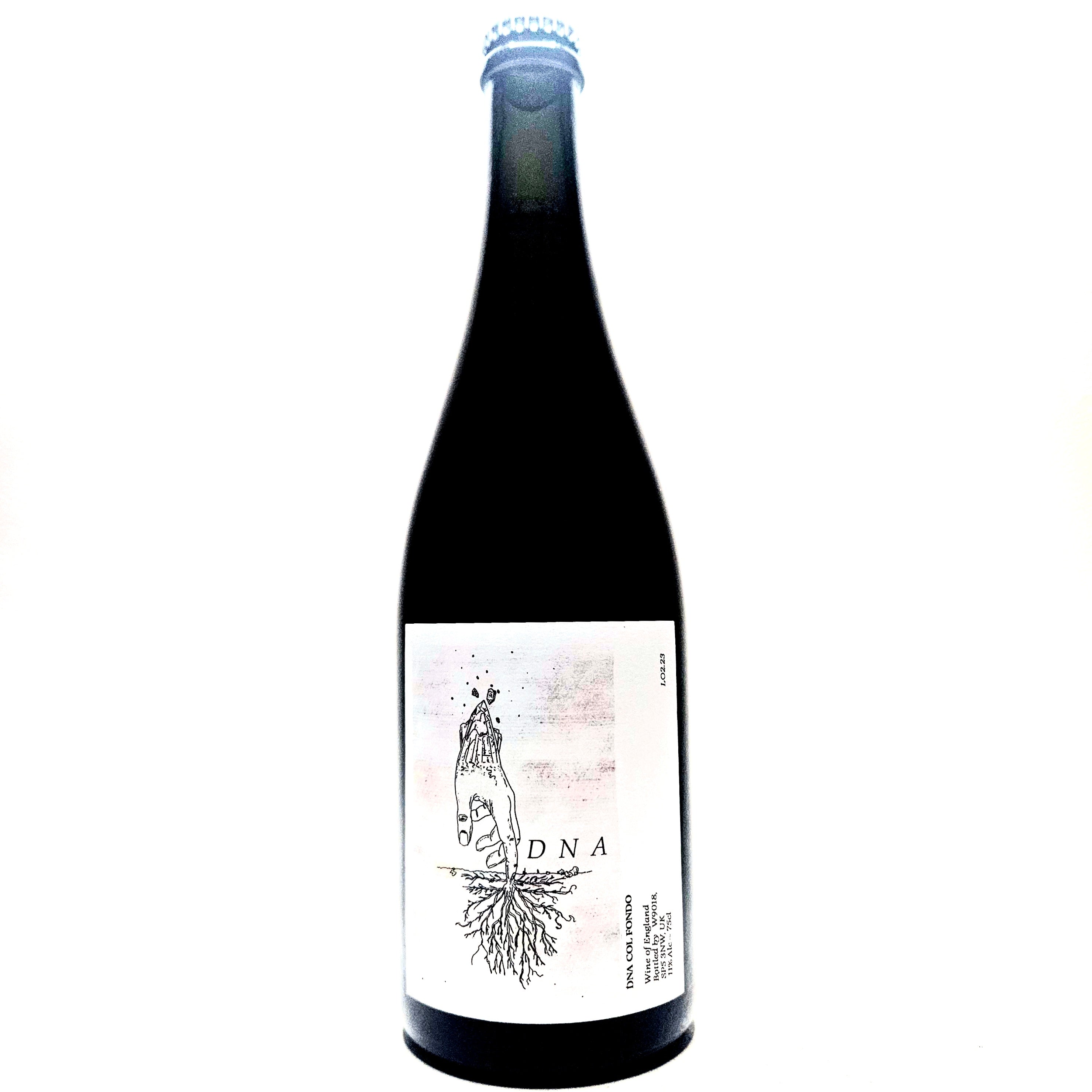 <p>Huxelrebe / Reichensteiner blend<br>DNA V1 2023<br>Owl's Wine</p>