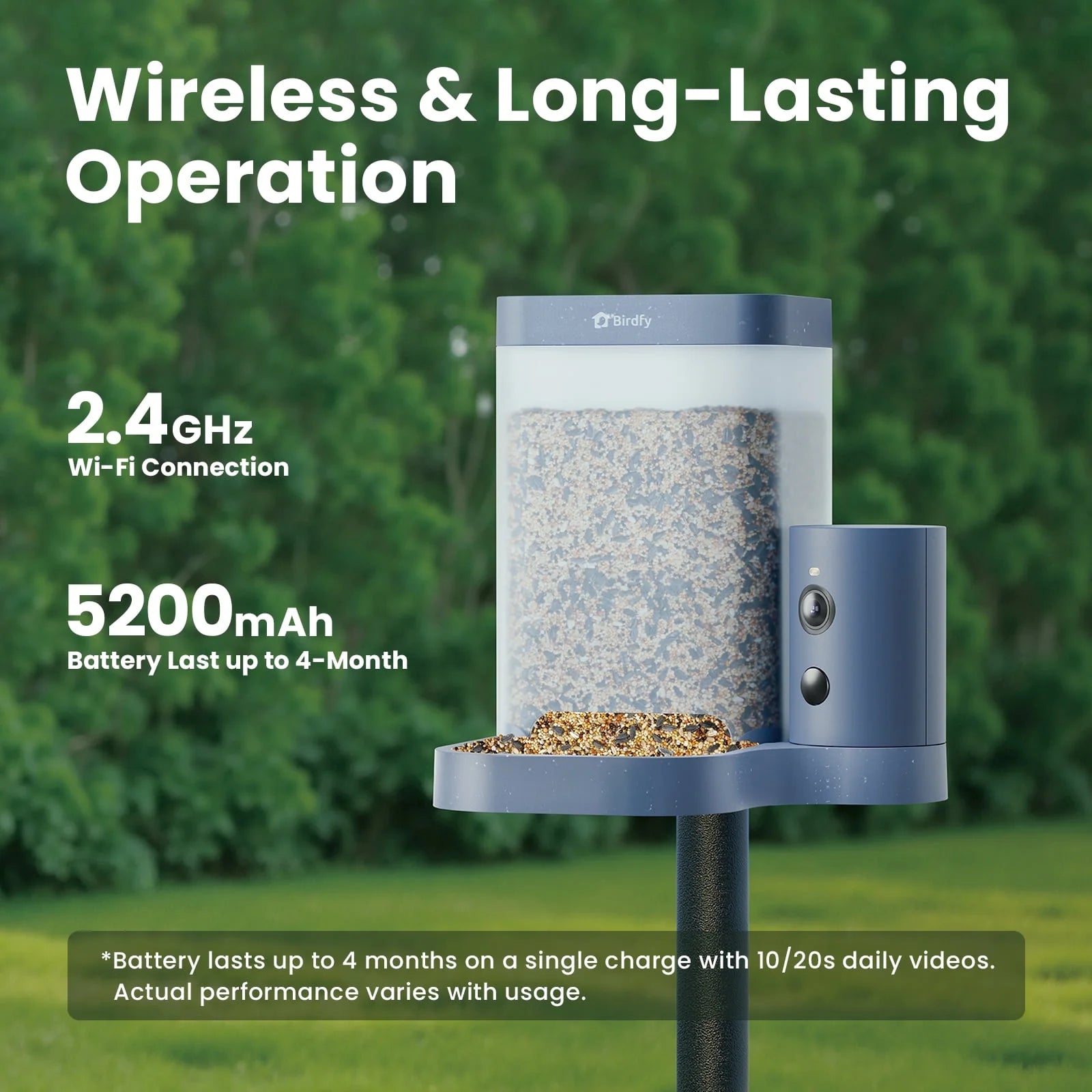 Birdfy Smart Bird Feeder with Camera, 60FPS Smooth Video, AI Bird Identification & Instant Alerts, Auto Capture, Perfect Gift for Bird Lovers