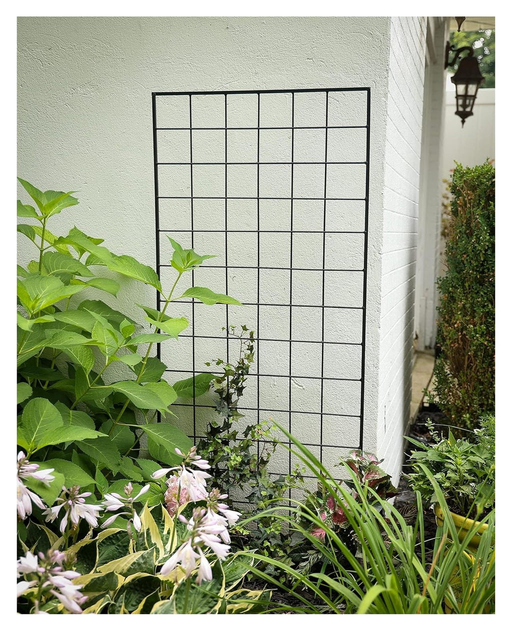 American Garden Works STNMB Narrow Screen Trellis, Black 64.25"H Trellis,Garden