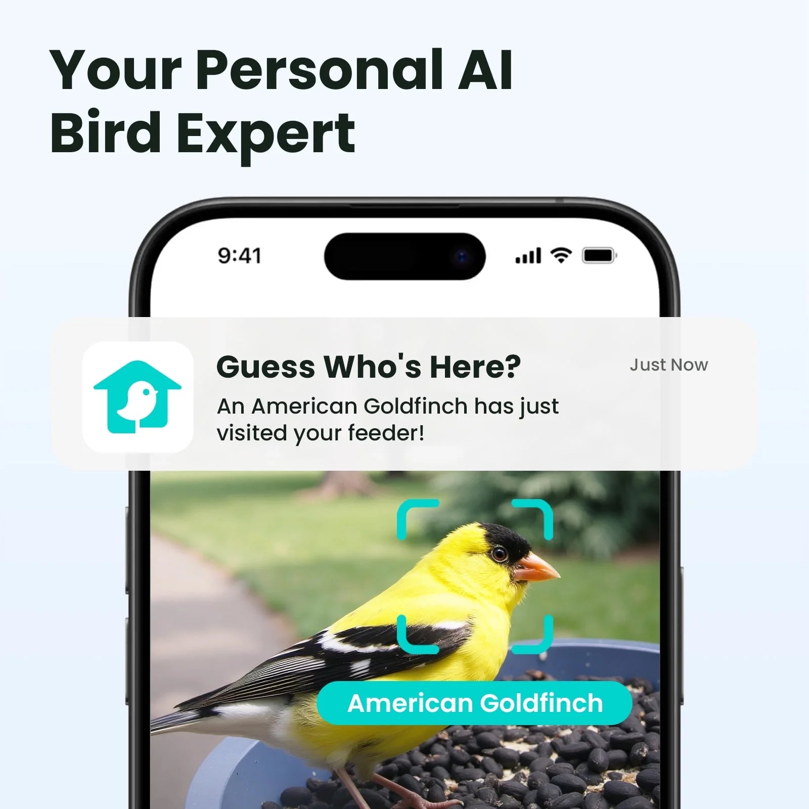 Birdfy Smart Bird Feeder with Camera, 60FPS Smooth Video, AI Bird Identification & Instant Alerts, Auto Capture, Perfect Gift for Bird Lovers