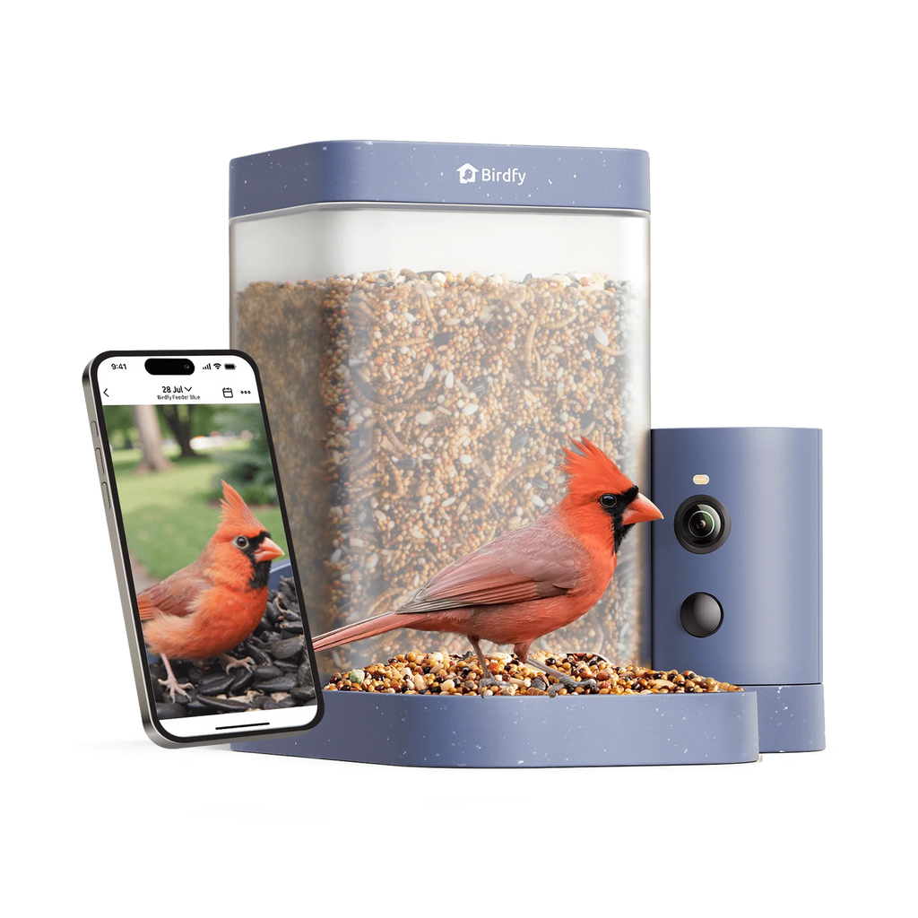 Birdfy Smart Bird Feeder with Camera, 60FPS Smooth Video, AI Bird Identification & Instant Alerts, Auto Capture, Perfect Gift for Bird Lovers